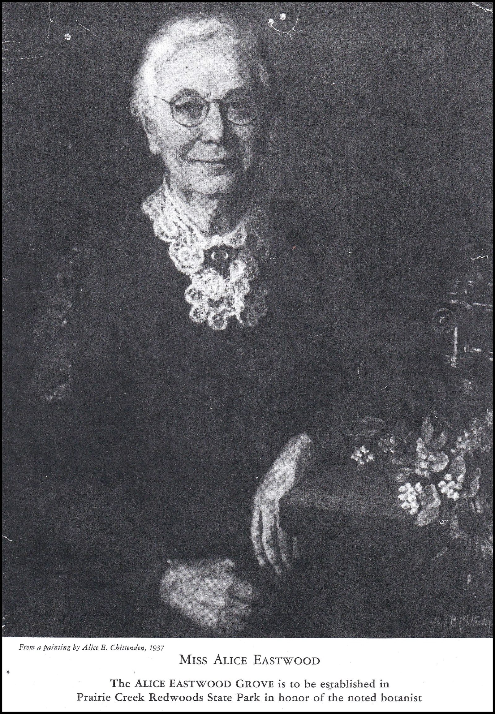 > Alice Eastwood Mill Valley Historical Society